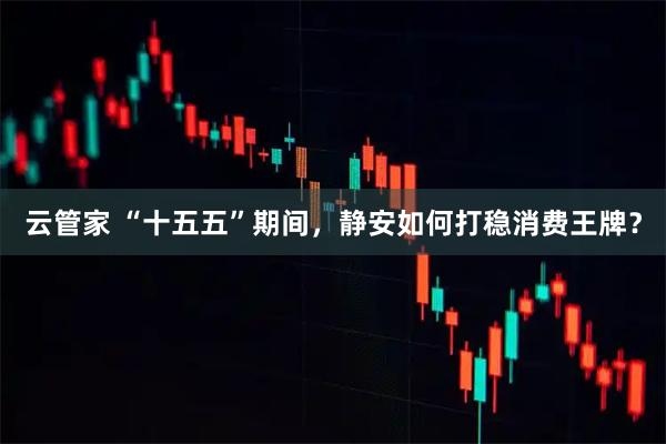 云管家 “十五五”期间，静安如何打稳消费王牌？