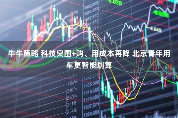 牛牛策略 科技突围+购、用成本再降 北京青年用车更智能划算