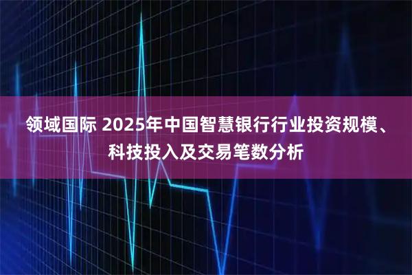 领域国际 2025年中国智慧银行行业投资规模、科技投入及交易笔数分析