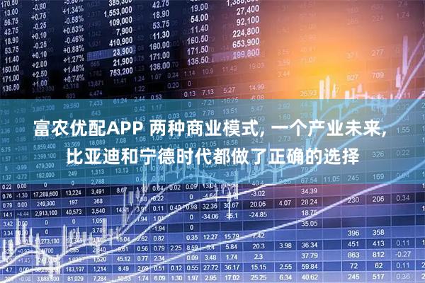 富农优配APP 两种商业模式, 一个产业未来, 比亚迪和宁德时代都做了正确的选择